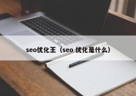 seo优化王（seo 优化是什么）