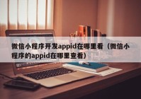 微信小程序开发appid在哪里看（微信小程序的appid在哪里查看）